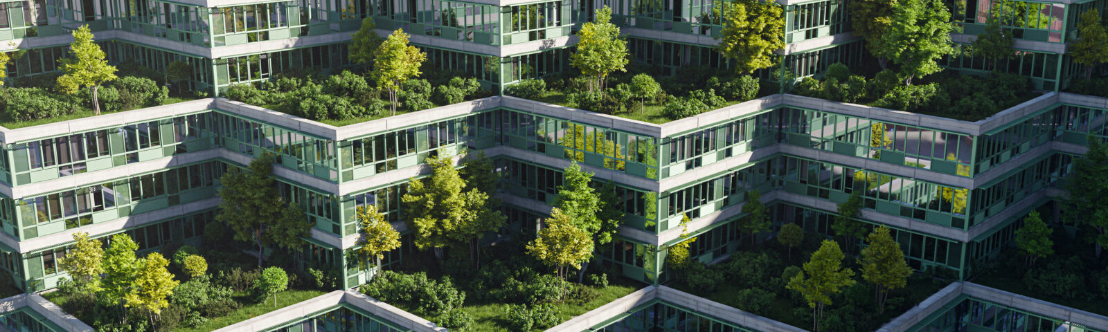 Istockphoto 1499019570